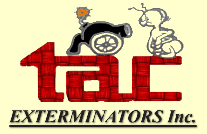 Bug and Pest Control In Corona CA