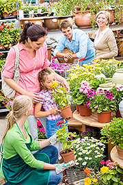 Garden Plant Tree Centers Corona CA